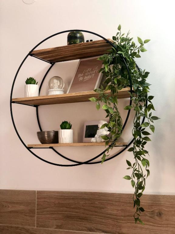 Fotografija u galeriji objekta Apartman TRAG Divčibare na Divčibaru