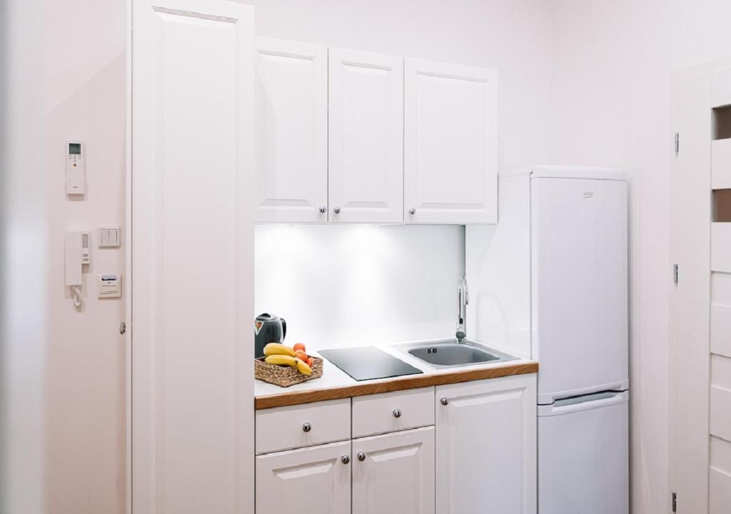 Kuchyňa alebo kuchynka v ubytovaní Memory Apartments