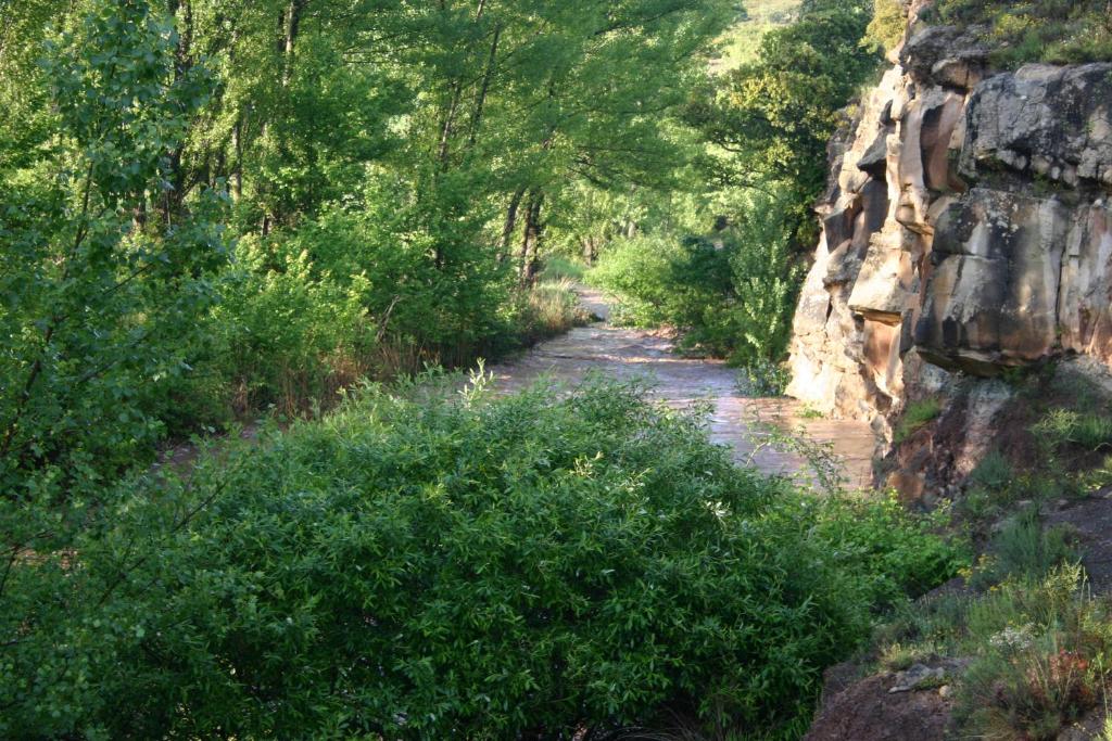 un camino a través de un bosque con árboles y arbustos en Alojamiento Rural Sierra de Gudar, en Valbona