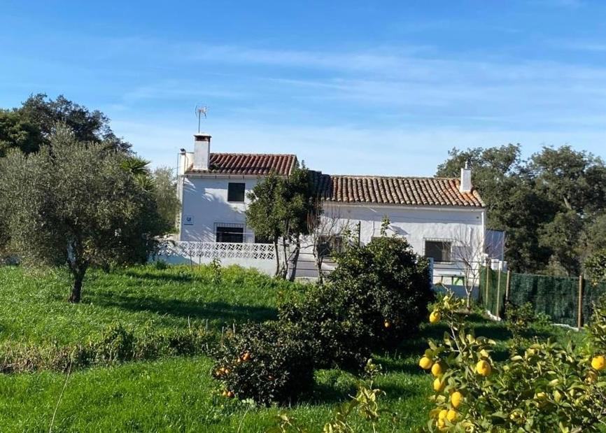 Vonkajšia záhrada v ubytovaní VIVIENDA RURAL LOS OJALVOS