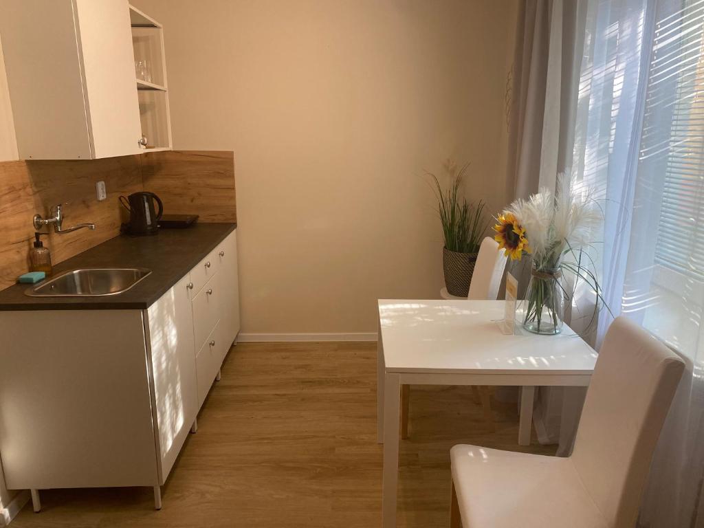 Kuchyň nebo kuchyňský kout v ubytování STING Apartments Havířov