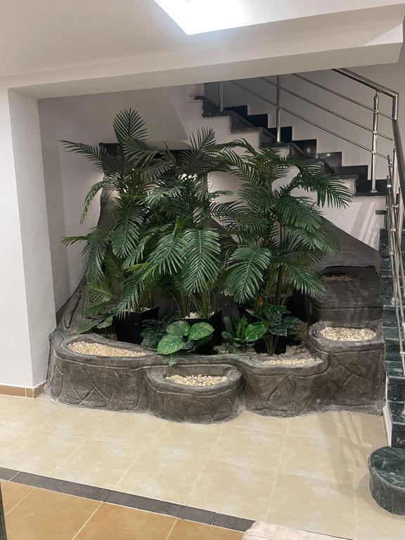 Fotografie z fotogalerie ubytování Hurghada-Magawish Villa 4 v destinaci Hurghada