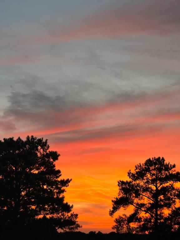 La Quinta Inn by Wyndham Columbia NE Fort Jackson photo