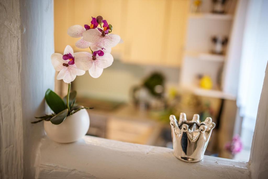 Wilhelm Appartements 100 qm Komfort und Fitness im Zentrum Brackenheim nähe Tripsdrill - 7