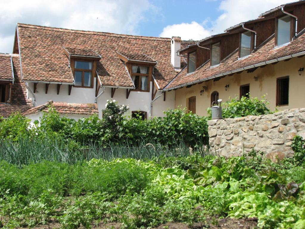 an old house with a stone wall in front of it at Convivium Transilvania in Criţ