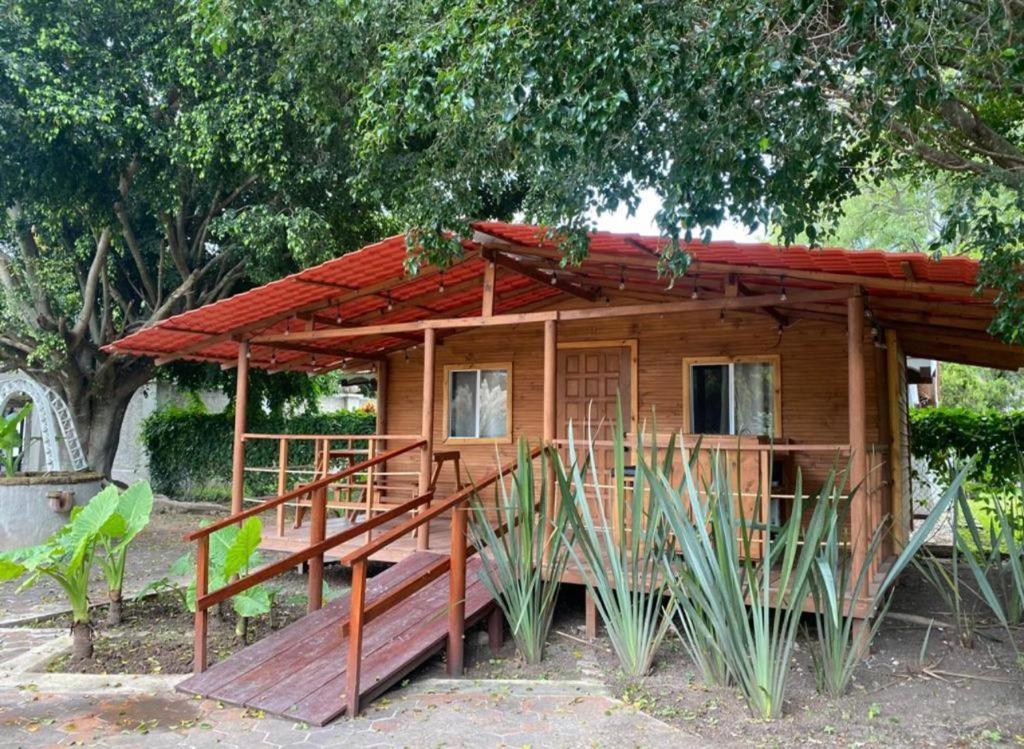 una pequeña casa de madera con porche y árbol en roca azul cabañas sa de cv, en Jocotepec