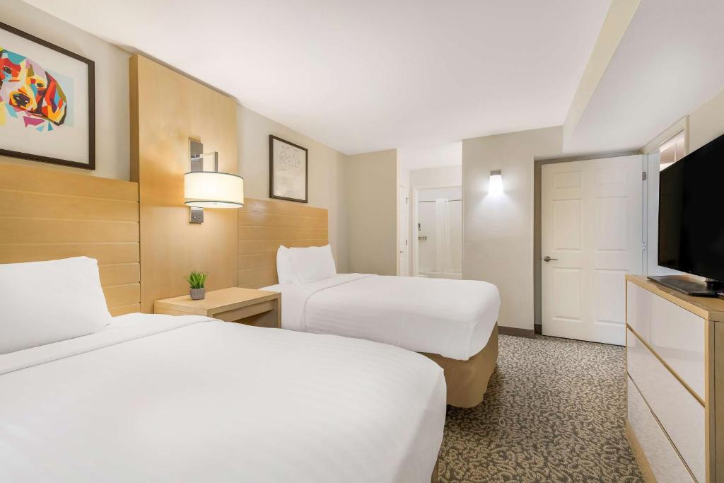 Sonesta ES Suites Charlotte Arrowood - King Suite Met één Slaapkamer