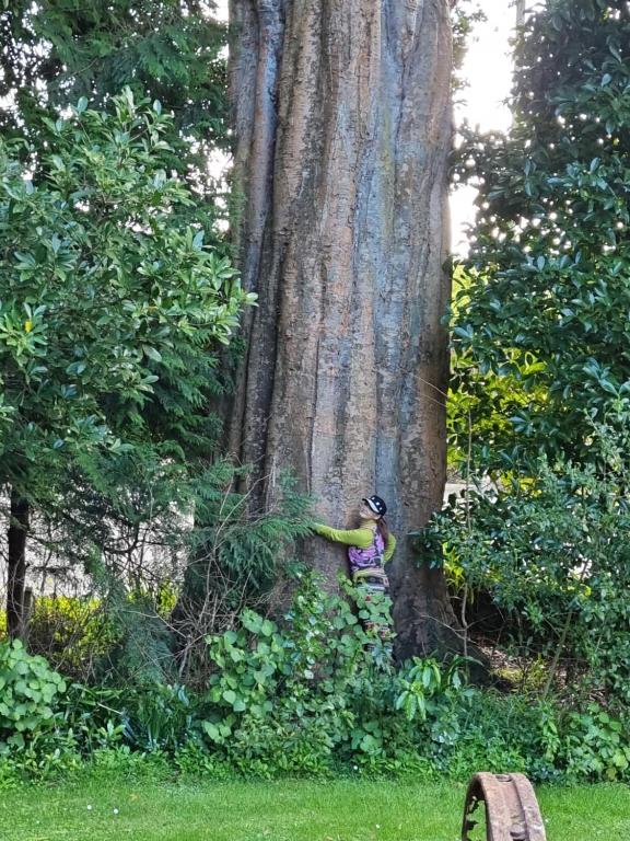 Arles Historical Homestead - Resim 10