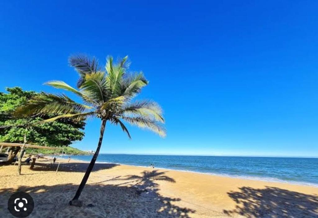 uma palmeira numa praia de areia junto ao oceano em Casa de Praia da Lara em Piúma