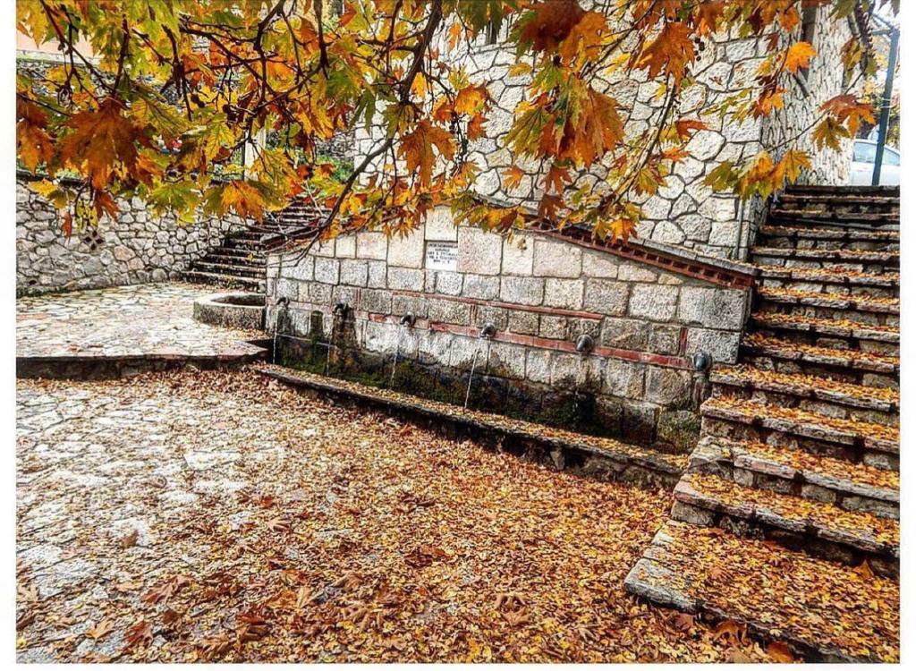 Zahrada ubytování Asimina Guesthouse, Eptalofos Parnassos