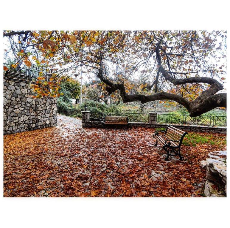 Zahrada ubytování Asimina Guesthouse, Eptalofos Parnassos