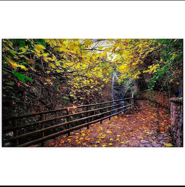 Fotografie z fotogalerie ubytování Asimina Guesthouse, Eptalofos Parnassos v destinaci Eptalofos