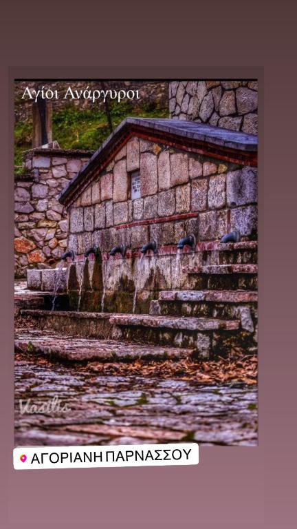 Fotografie z fotogalerie ubytování Asimina Guesthouse, Eptalofos Parnassos v destinaci Eptalofos