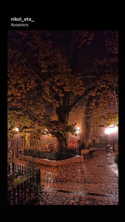 Fotografie z fotogalerie ubytování Asimina Guesthouse, Eptalofos Parnassos v destinaci Eptalofos
