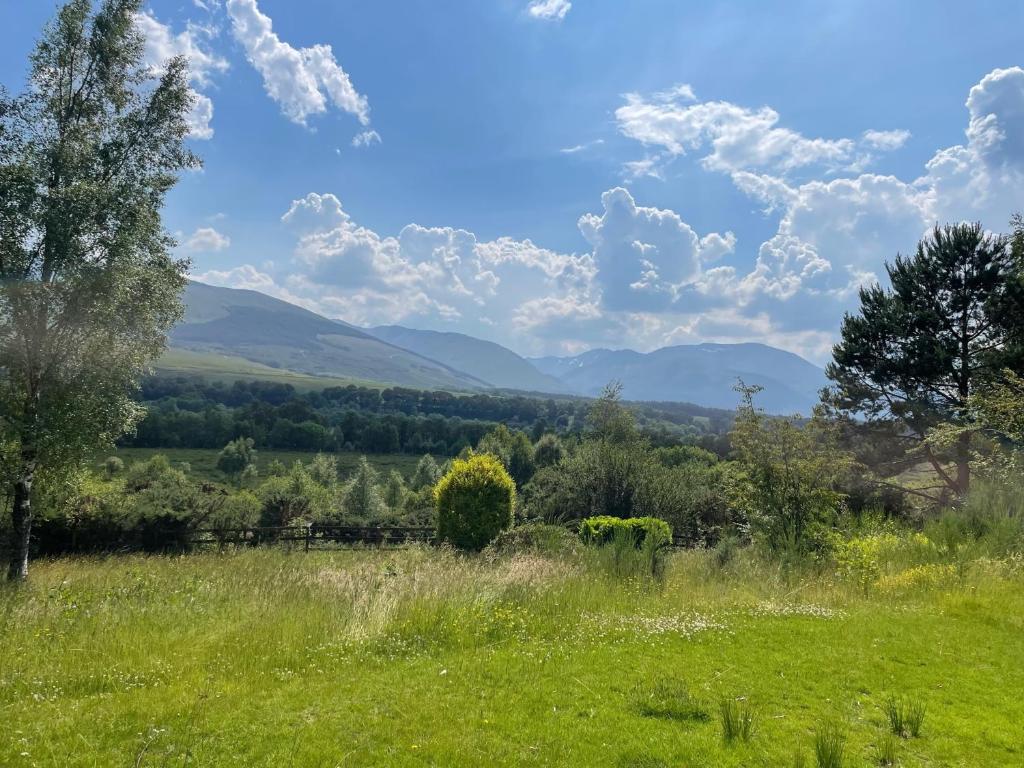 Maol Ruadh