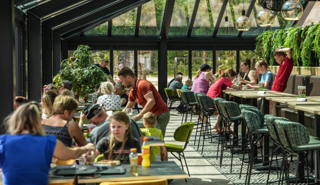 Hosté ubytování Camping Wedderbergen