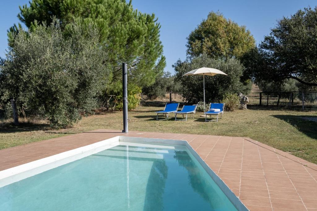 皮蒂利亞諾的住宿－Sasso Bianco，一个带2把蓝色椅子和遮阳伞的游泳池