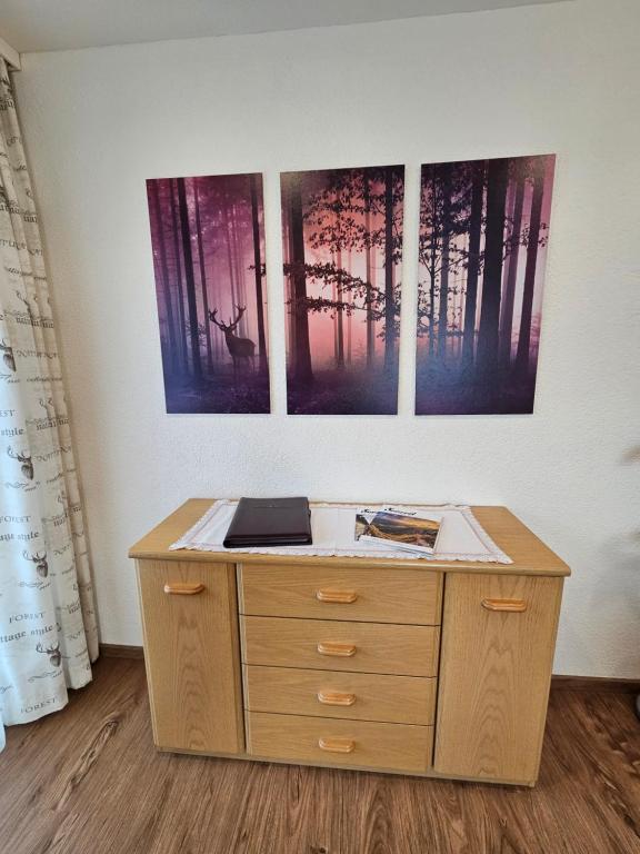 Fotografie z fotogalerie ubytování Appartements Waldruh v destinaci Achenkirch