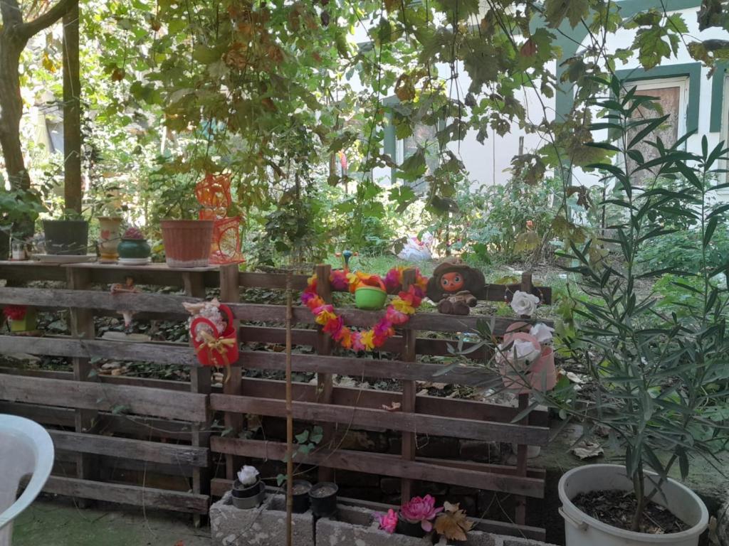 Adem's Cozy Terrace Retreat - Appartement Avec Vue Sur Le Jardin