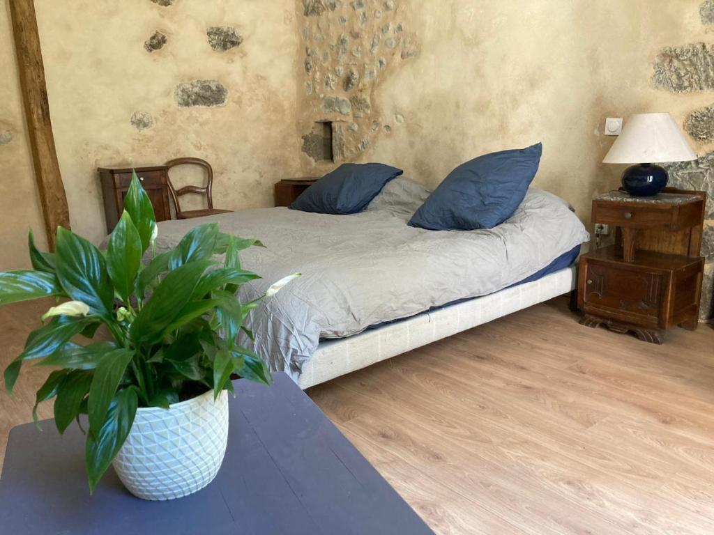 - une chambre avec un lit et une plante en pot dans l'établissement Les toits de Miramont, à Montesquieu-Avantès