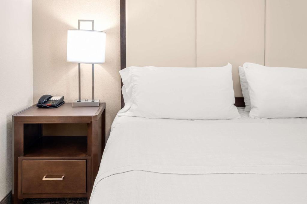 Homewood Suites By Hilton San Marcos photo