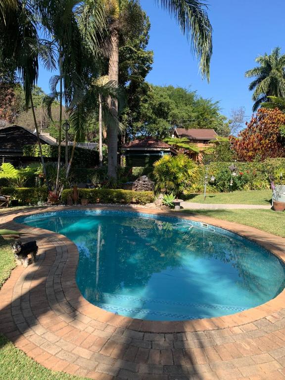 a swimming pool in a yard with a palm tree at Leadwood Guesthouse in Tzaneen