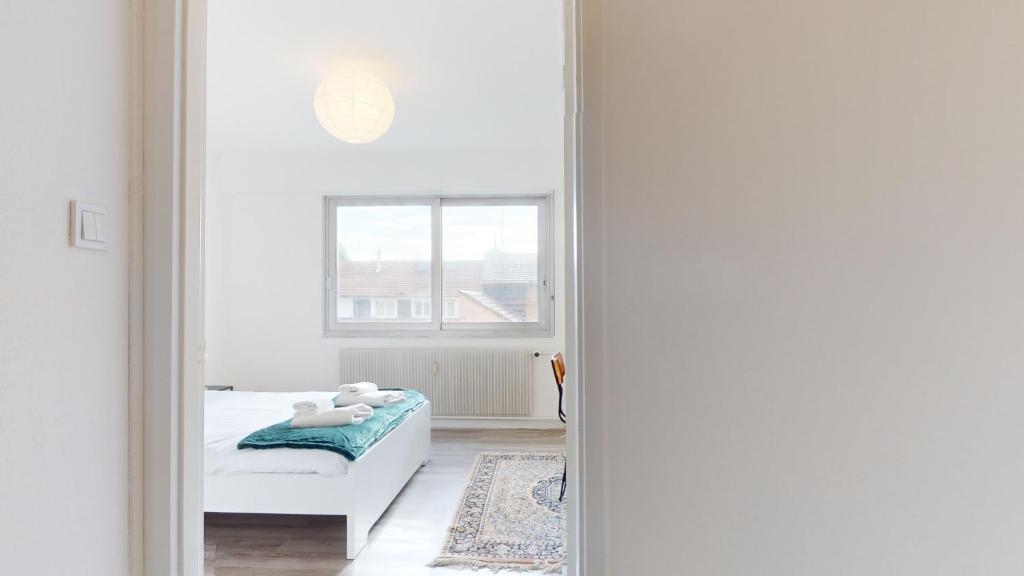 Appartement La Fecht + parking – photo 17