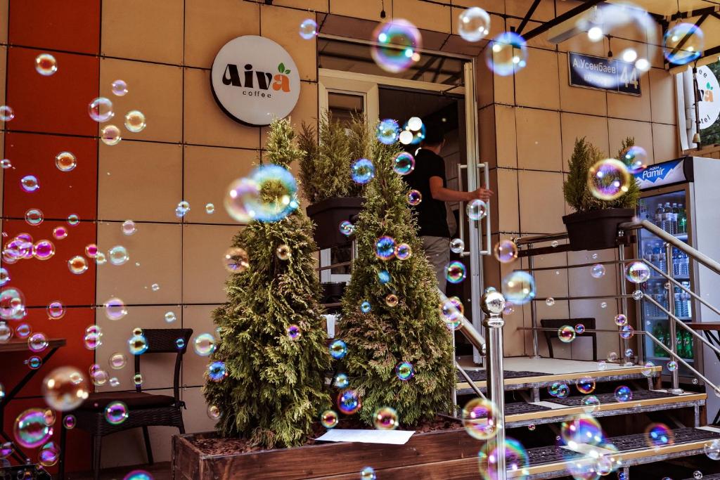 Fotografie z fotogalerie ubytování Aiva Hostel v destinaci Biškek