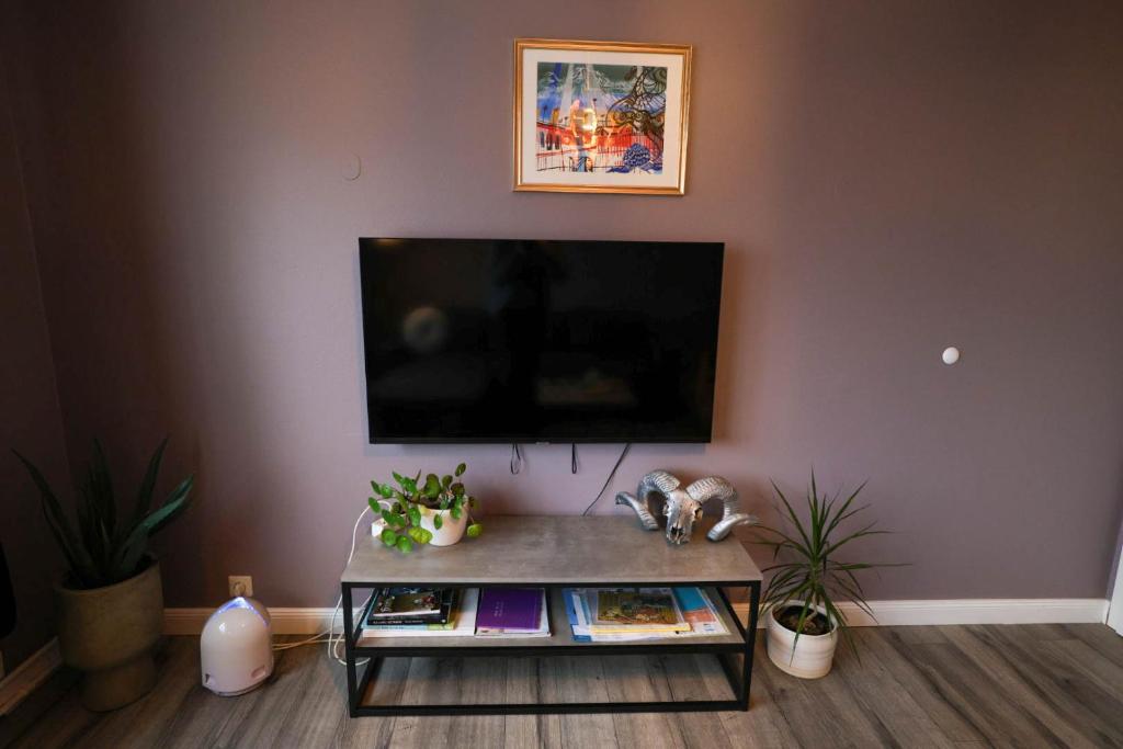 TV a/nebo společenská místnost v ubytování Olga Apartments