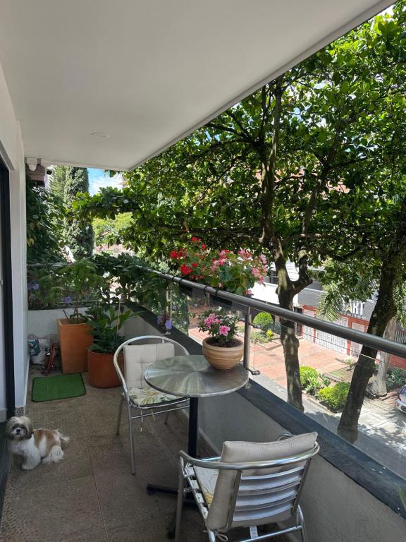 a patio with a table and chairs and a dog at Casa del Arbol Apto. 301 in Medellín