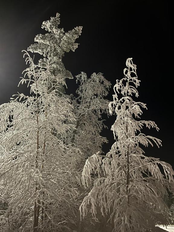 Idre Fjäll, Söderbyn Ski in Ski out, 30 m till pisten зимой