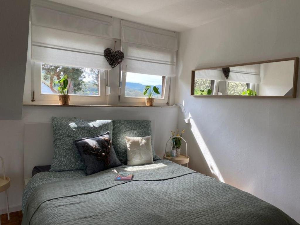 1 dormitorio con 1 cama con 2 ventanas y 2 almohadas en Ferienwohnung Eifelglück, en Pelm