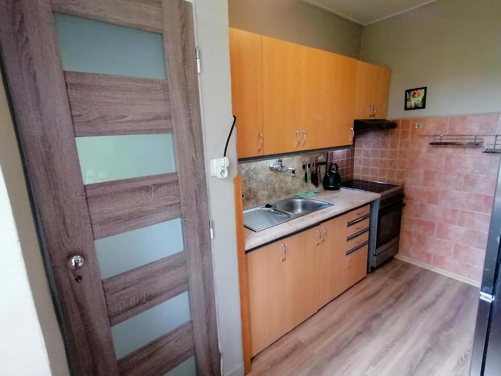 Kuchyň nebo kuchyňský kout v ubytování Rekreační chata Menfis