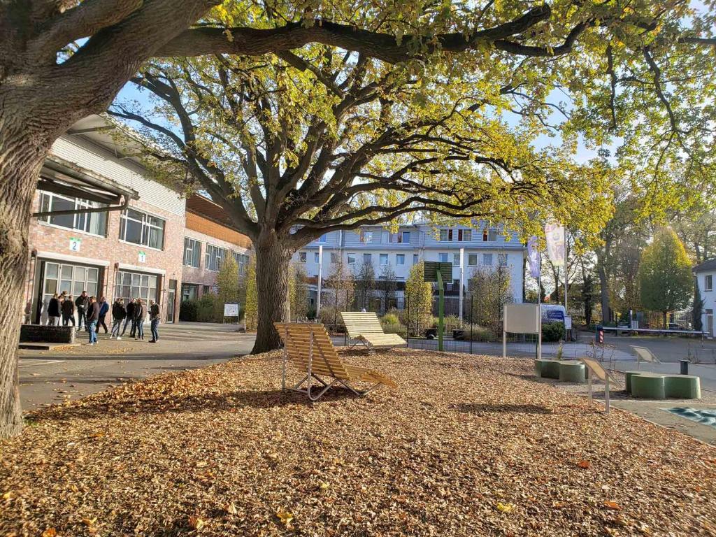 a bench sitting under a tree in front of a building at Gästehaus DEULA in Warendorf