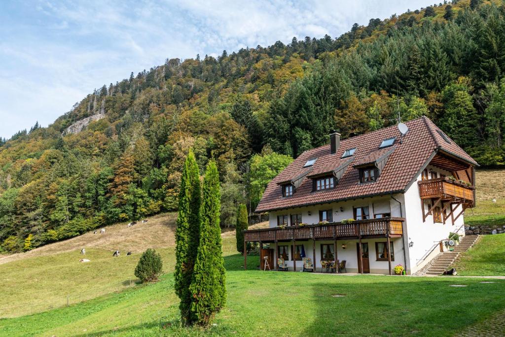 a large house on a hill in a field at Gasthaus Zur Linde- Napf in Oberried