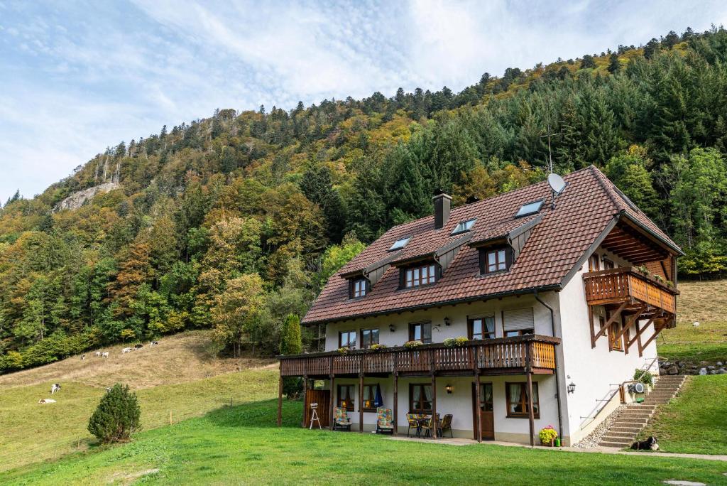 una gran casa blanca en una colina con árboles en Gasthaus Zur Linde- Napf, en Oberried