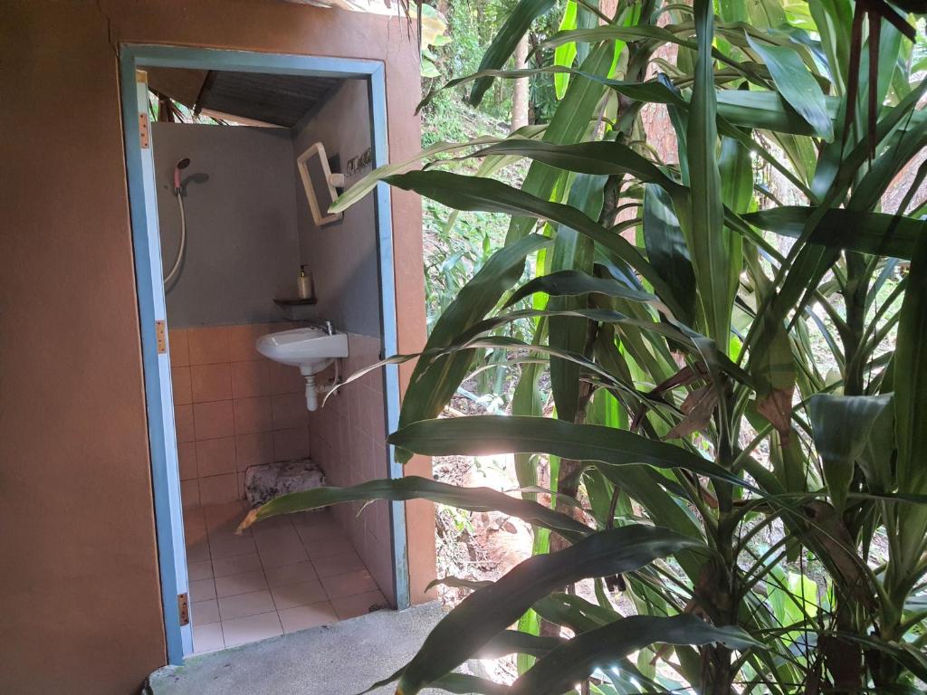 Sabai Corner Bungalows - SHA Extra Plus - 6