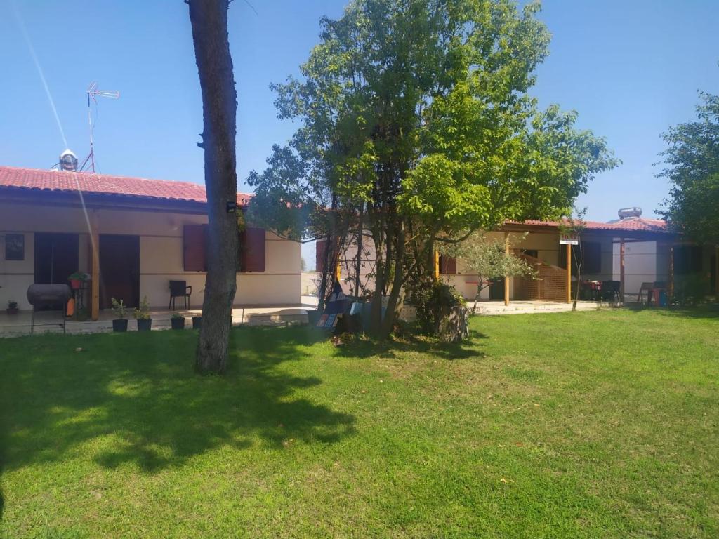 Zahrada ubytování Vila 7 Divjake