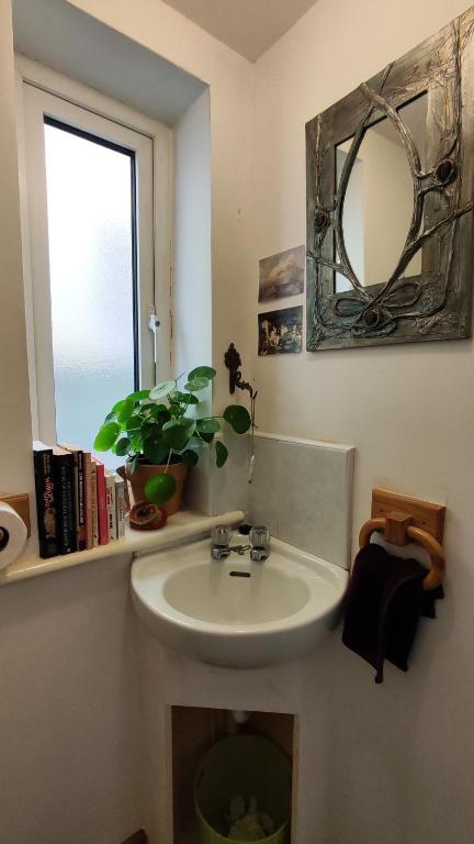 Fotografie z fotogalerie ubytování The Green Room Homestay v destinaci Galway