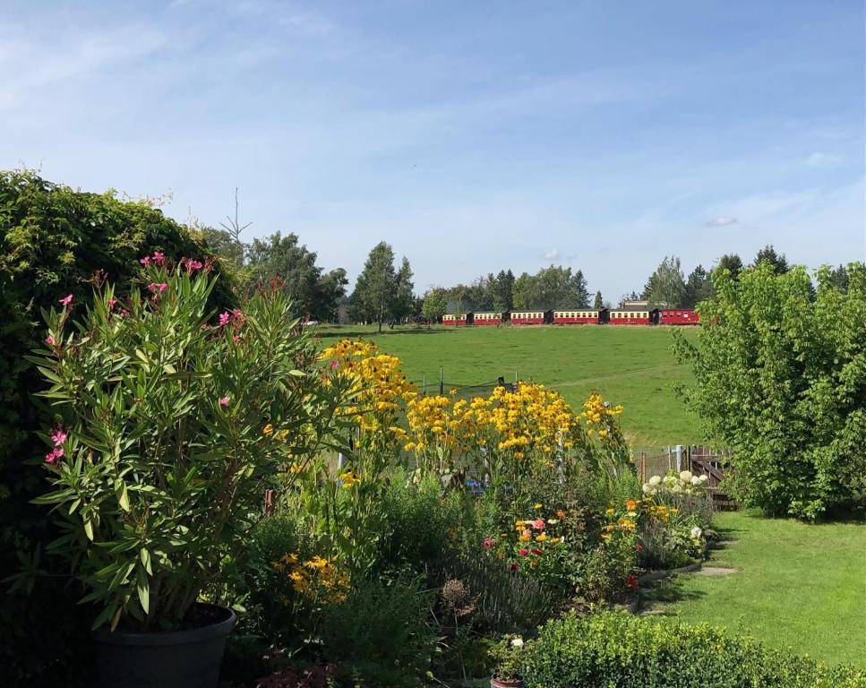 a garden with flowers and a train in a field at Harzquerbahnblick in Benneckenstein