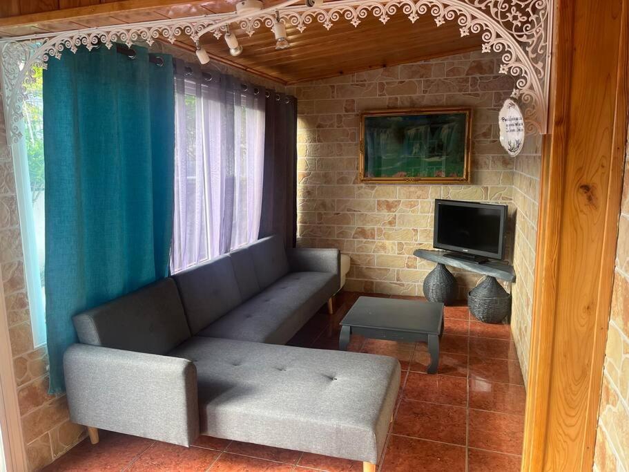 - un salon avec un canapé et une télévision dans l'établissement La villa Creole - location saisonnière Cilaos, à Cilaos