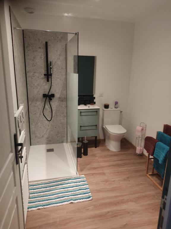 a bathroom with a shower and a toilet and a sink at Au pied de la colline in Alembon