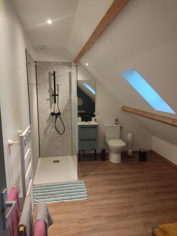 a bathroom with a shower with a toilet and a sink at Au pied de la colline in Alembon