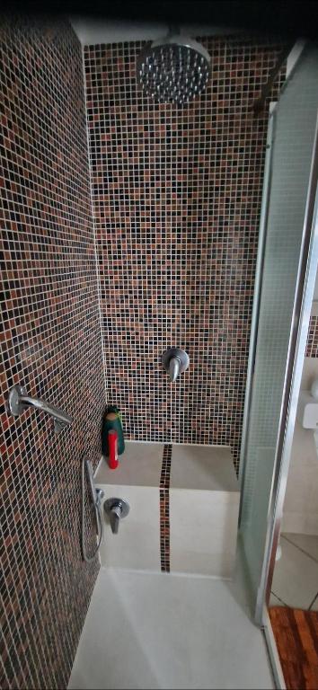 A bathroom at Monteceneri 9 B&b