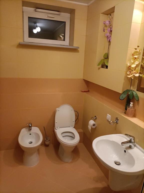 Babka Wiezowiec Noclegi - Resim 29