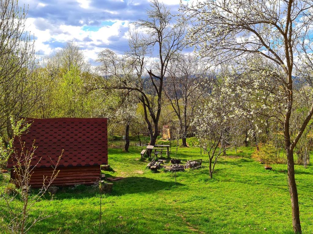 Friendship Cabin (Friendship Land), Şelari Updated 2024 Prices