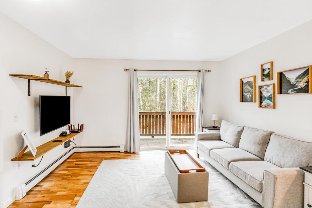 a living room with a couch and a tv at Bear Necessities in Eagle River