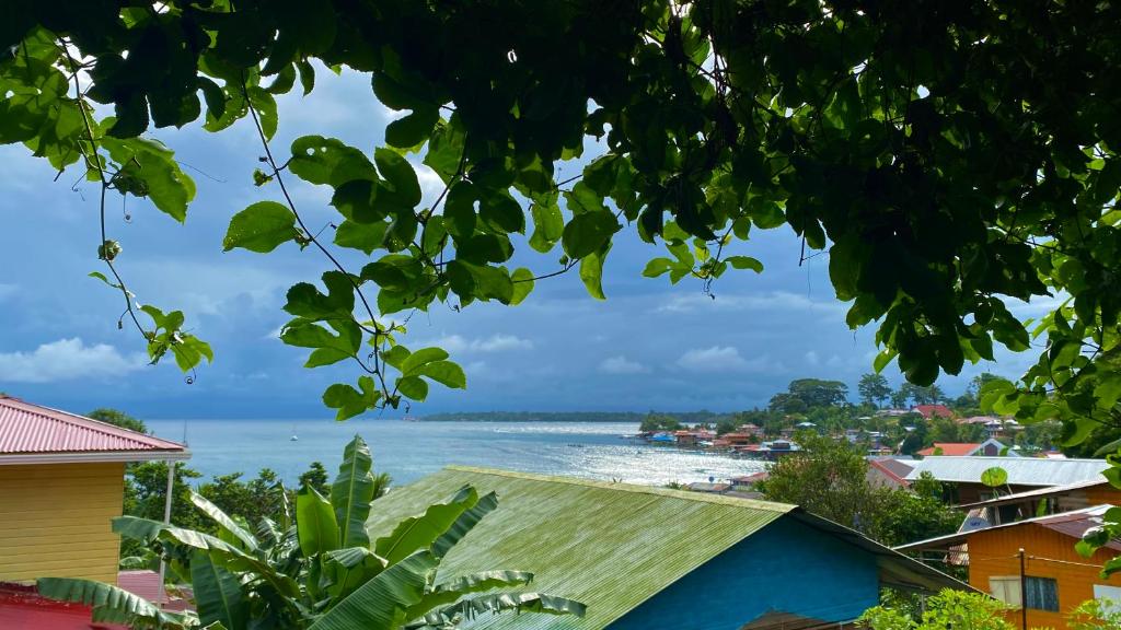a view of the beach from the town at True Nature Jungle House in Bastimentos