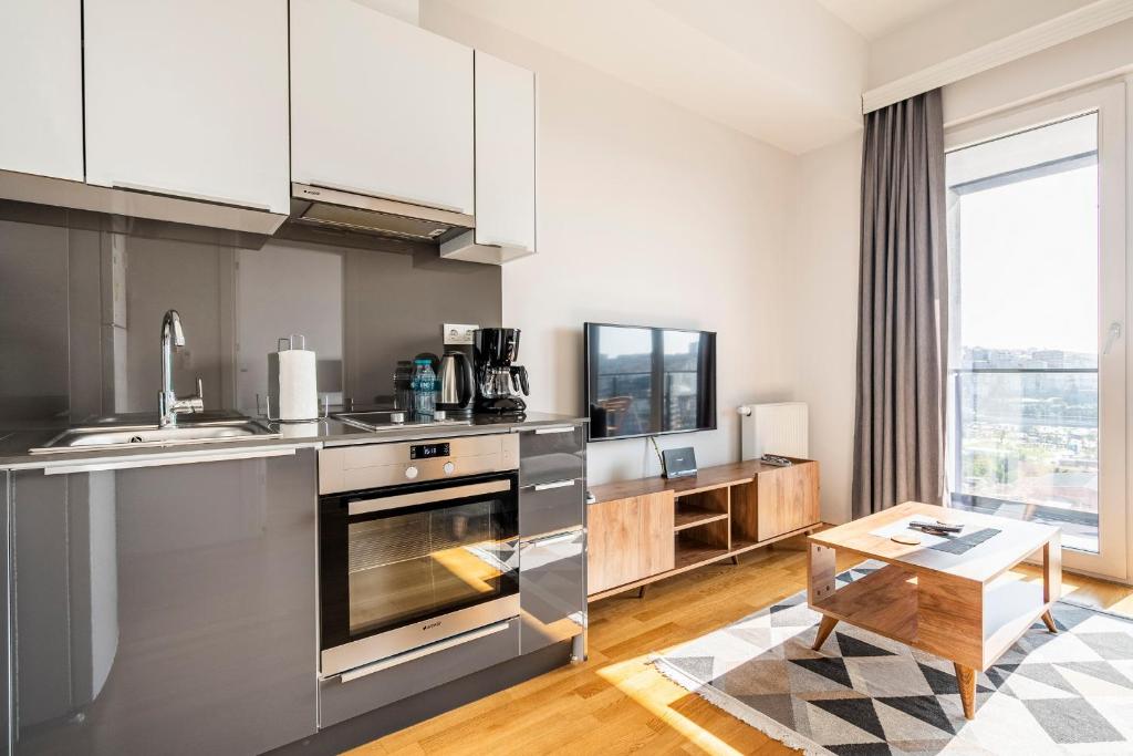 Kuchyň nebo kuchyňský kout v ubytování Seba Suites Central Istanbul