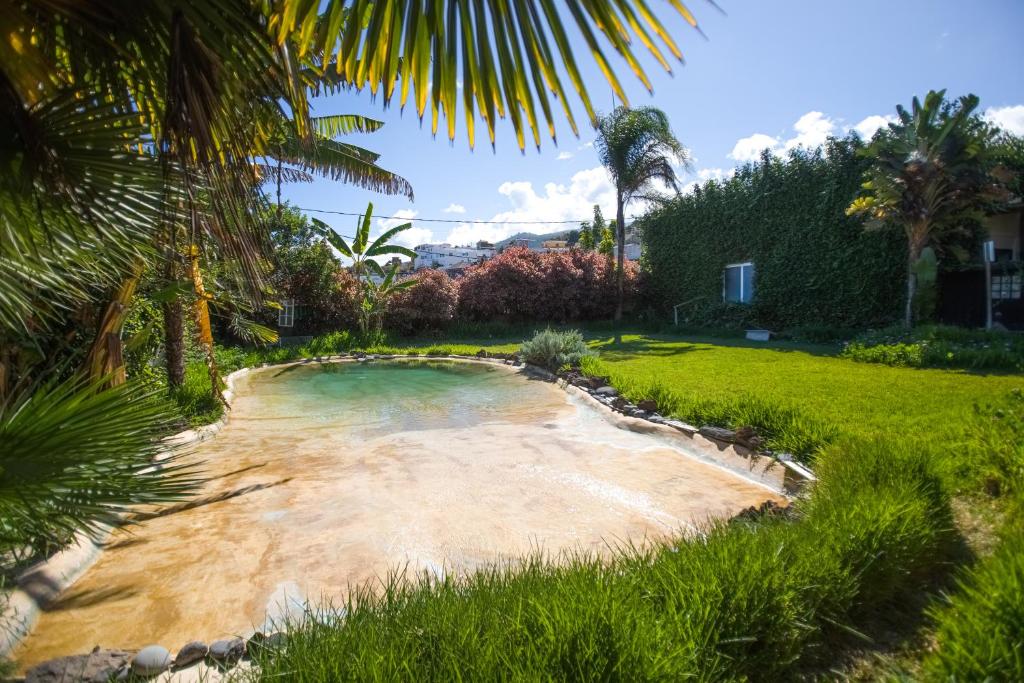 una piccola piscina d'acqua in un cortile con palme di Espacio Antares a Icod de los Vinos